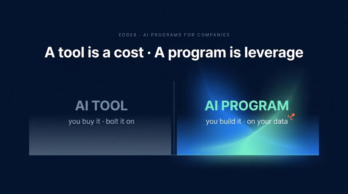 AI Program vs AI Tool